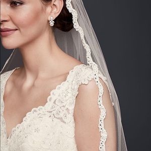 David's Bridal Veil